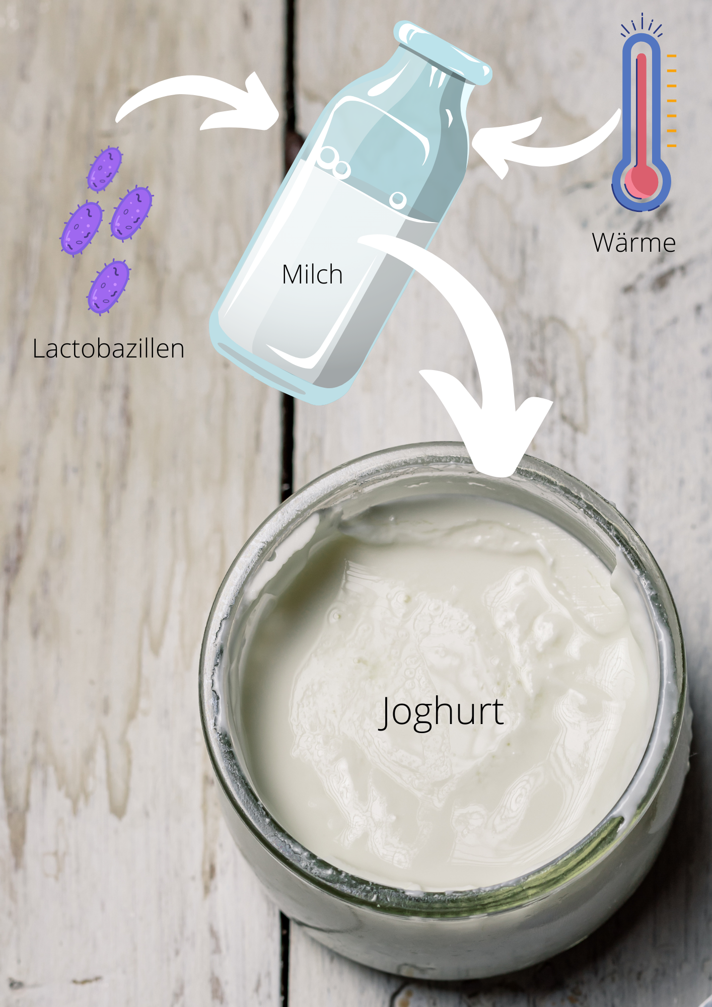 Naturjoghurt